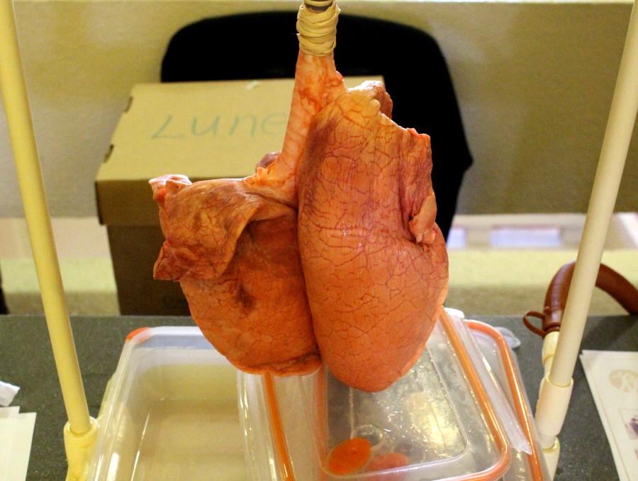 Aliviane Inc. demonstrates the dangers of smoking by contrasting a healthy lung and a bad one. 