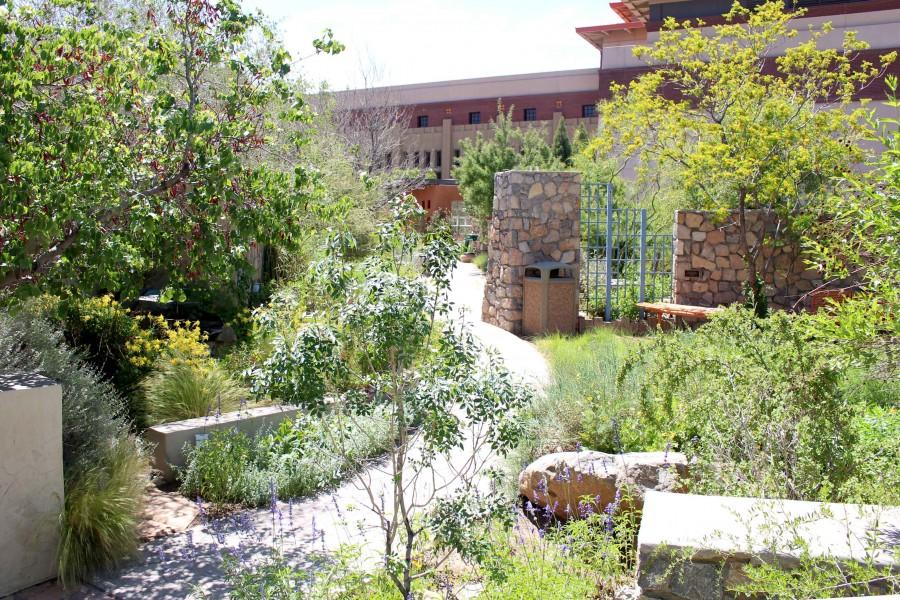 The 2018 FloraFEST native plant sale will be held from 9 a.m. to 4 p.m.  on April 28 and 29, at the UTEP Centennial Museum and Chihuahuan Desert Gardens.