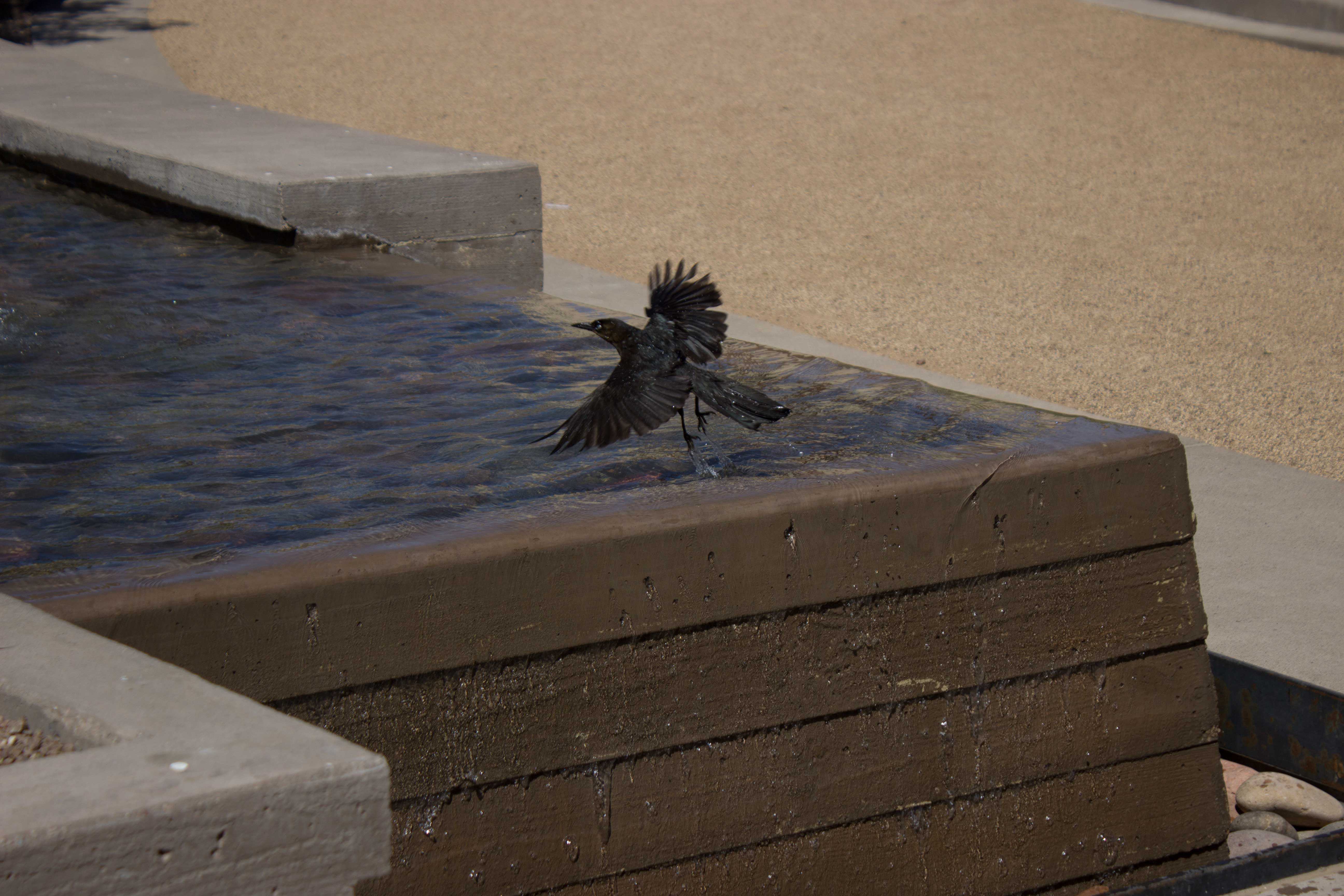 12+Creative+shots+of+the+Centennial+Plaza