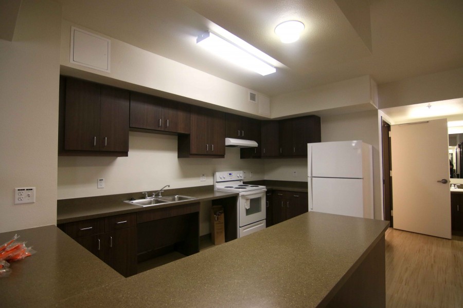 A kitchen of one of the dorm rooms. 