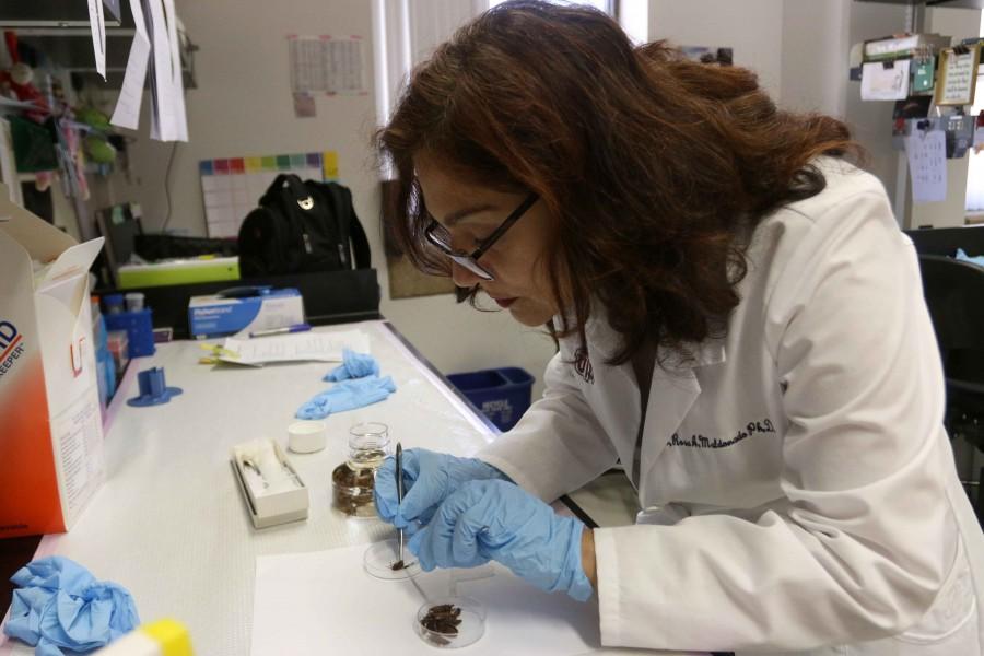 Chagas, a parasitic disease that affects the heart, is present in West Texas.