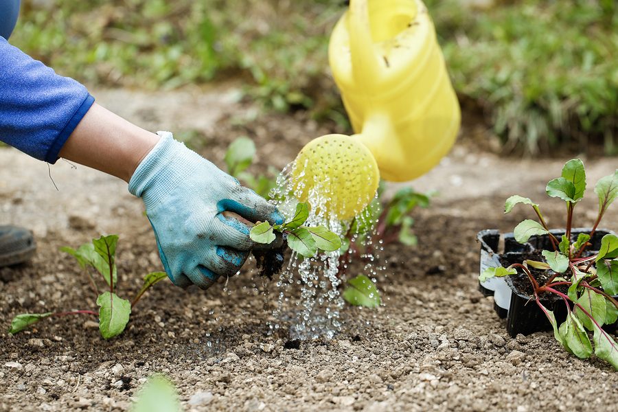 UTEP’s Student Green Team advocates for eco-friendliness