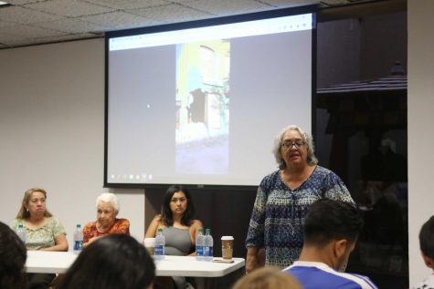 Panel on Duranguito