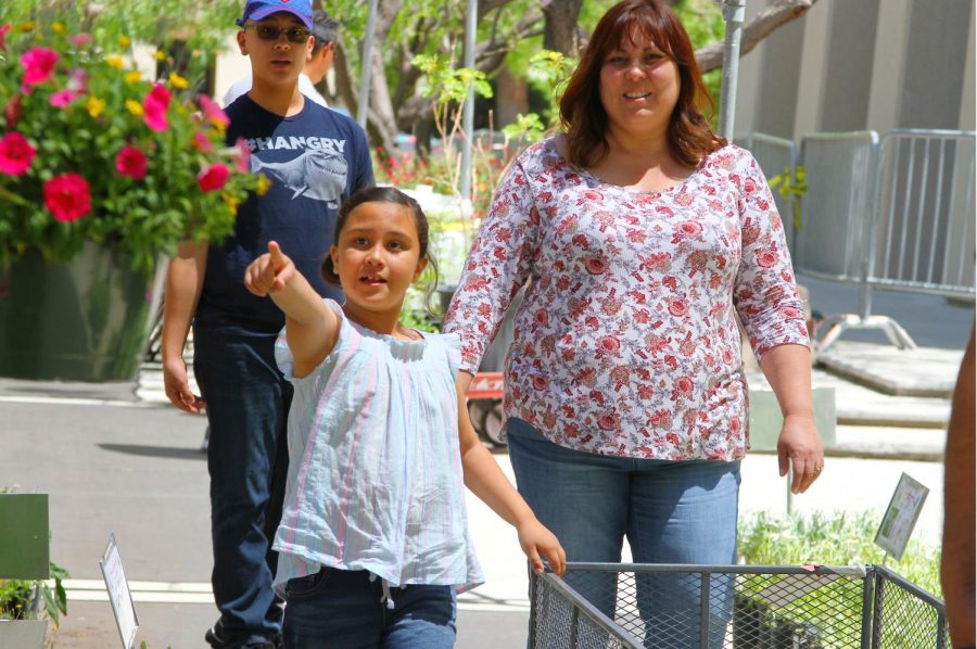 On Saturday, April 28, UTEP held the annual FloraFEST for their 24th year.