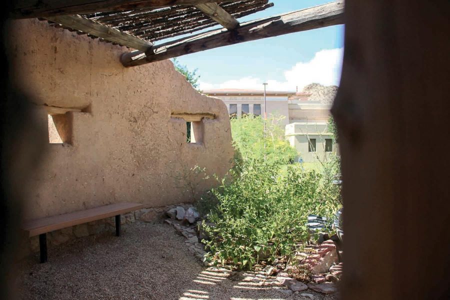 The Chihuahuan Desert Gardens at UTEP is the perfect place to relax on campus. 