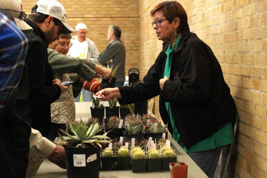 Cacti for sale at the Cactus festival Saturday, Nov. 2, 2019.