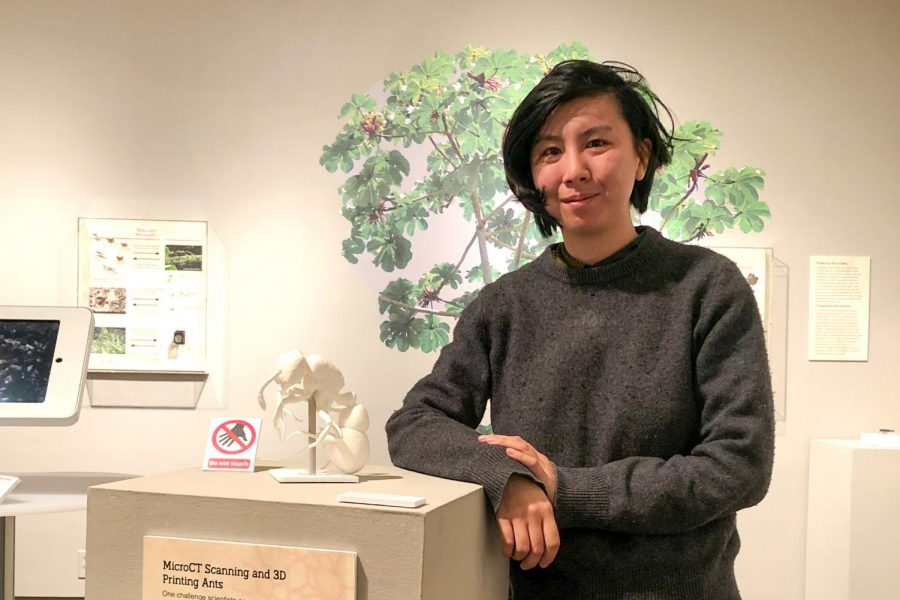 Vicky Zhuang, exhibit curator and Biodiversity Collections Manager at UTEP poses next to a 3D model of an ant on display at the “Tiny Tunnels, Big Connections: Ant Relationships Shape the World,” exhibit at the Centennial Museum.