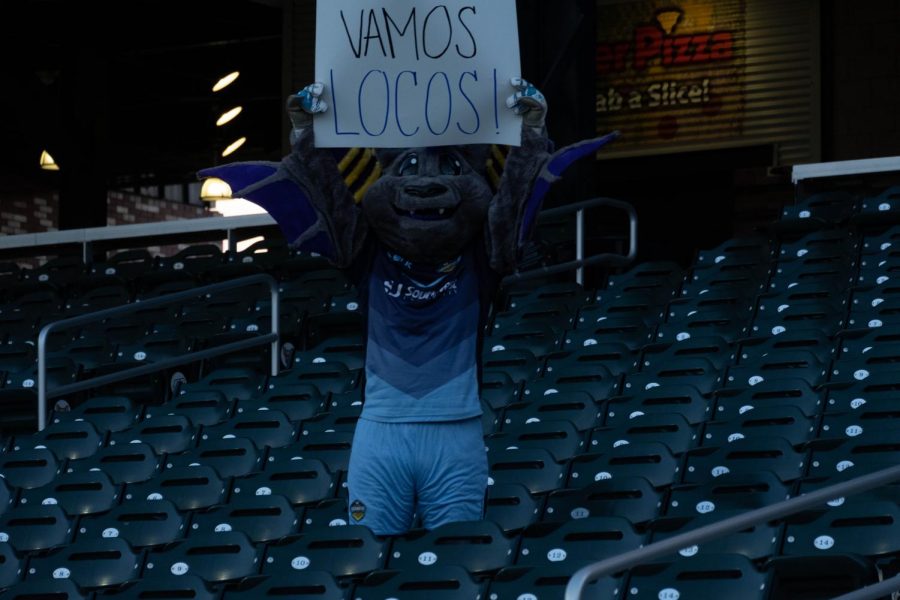 OZZY the bat shows his support for the home team from the stands Saturday Aug, 8, 2020.