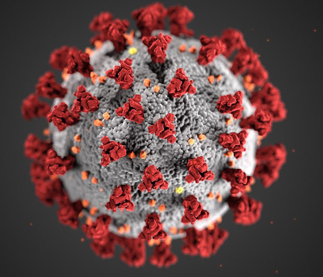 Thirteen members of the university community tested positive for the novel coronavirus last week.
