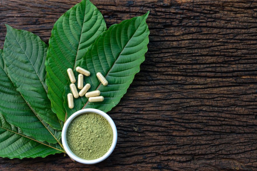 Mitragyna speciosa or kratom leaves with medicinal products in capsules and powder in white ceramic bowl and wooden table, top view.