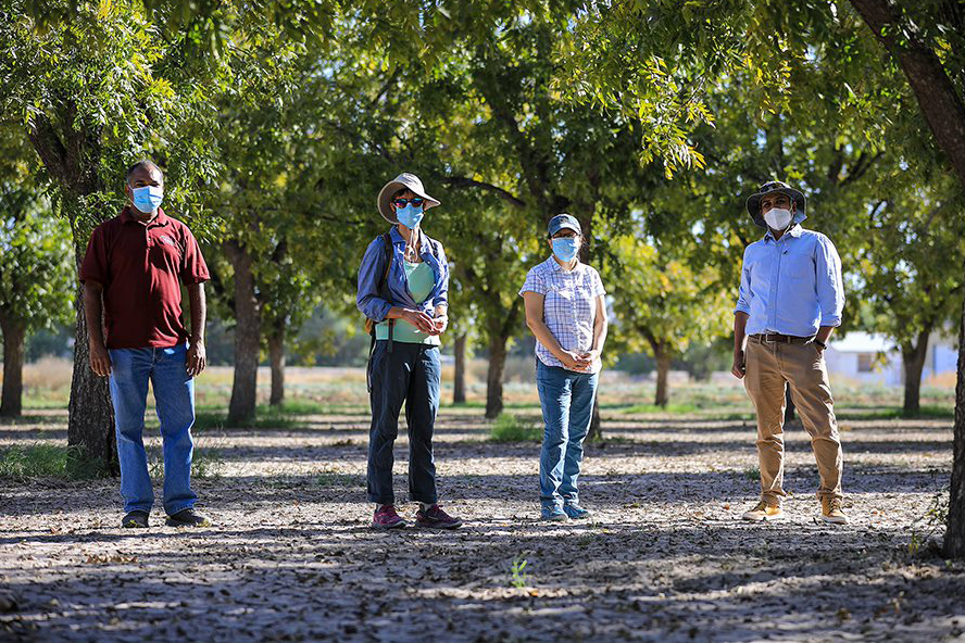 Recipients of a $500,000 research grant, UTEP’s Lixin Jin, Ph.D., professor of geology, and Marguerite Mauritz-Tozer, Ph.D., professor of biology, pose with TAMU AgriLife Research Center collaborators Saurav Kumar, Ph.D., and Girisha Ganjegunte, Ph.D.
