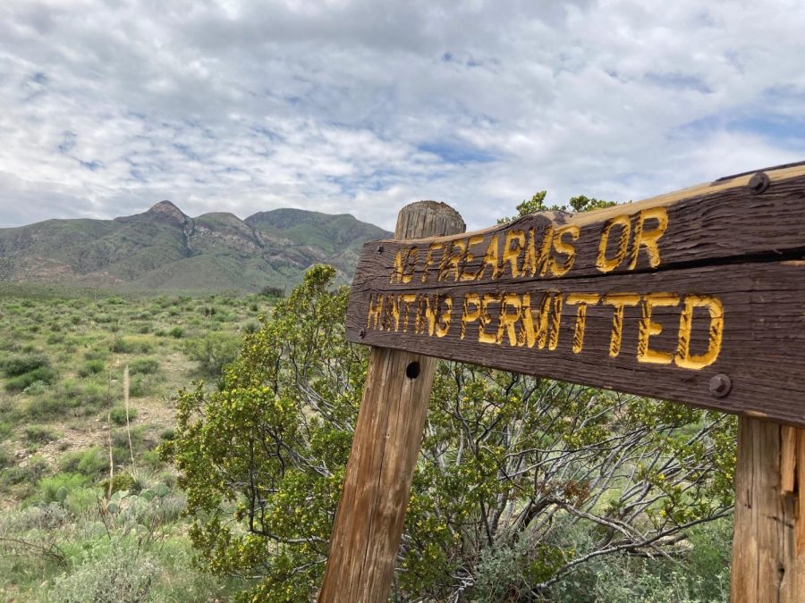 The Tin Mine trail takes the explorer through the desert terrain of the Franklin mountains. 