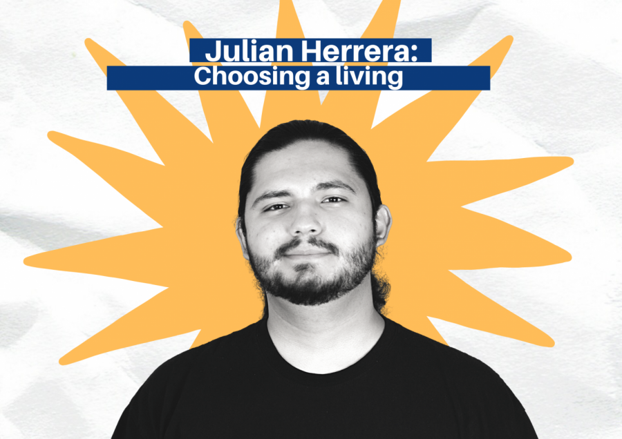 Choosing a living: Careers and the status quo