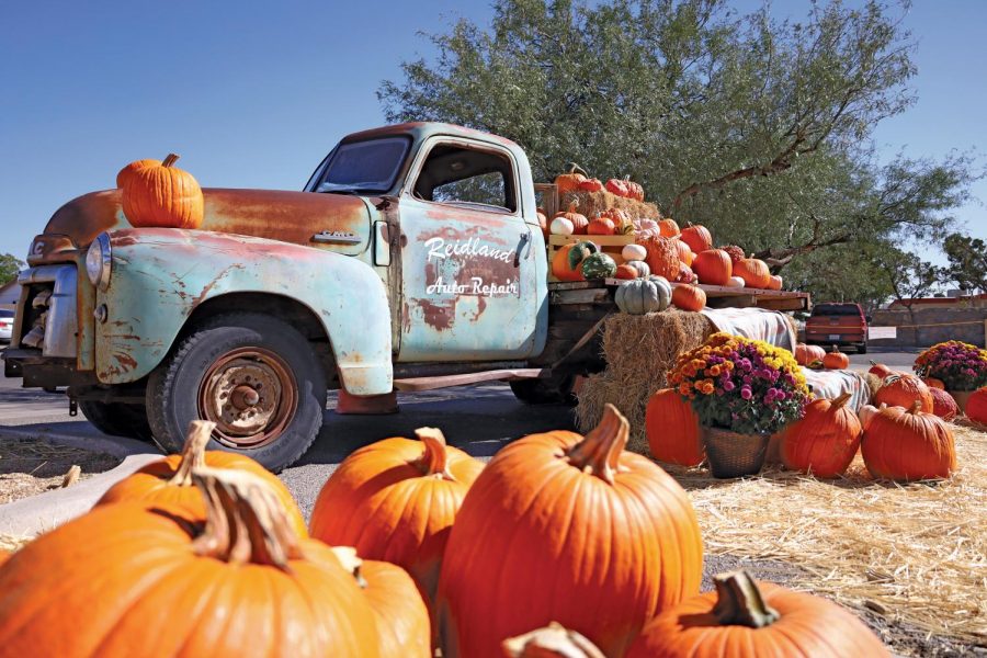 The Beth El Bible Church Pumpkin Patch is one of many Fall/Halloween activities in the city and is located on 6440 Montana Ave. and open 9am-8pm. 