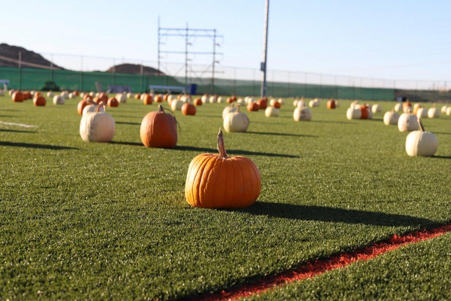 Students had the opportunity to paint and carve pumpkins, to participate in a contest organized by the Student Recreation Center. 