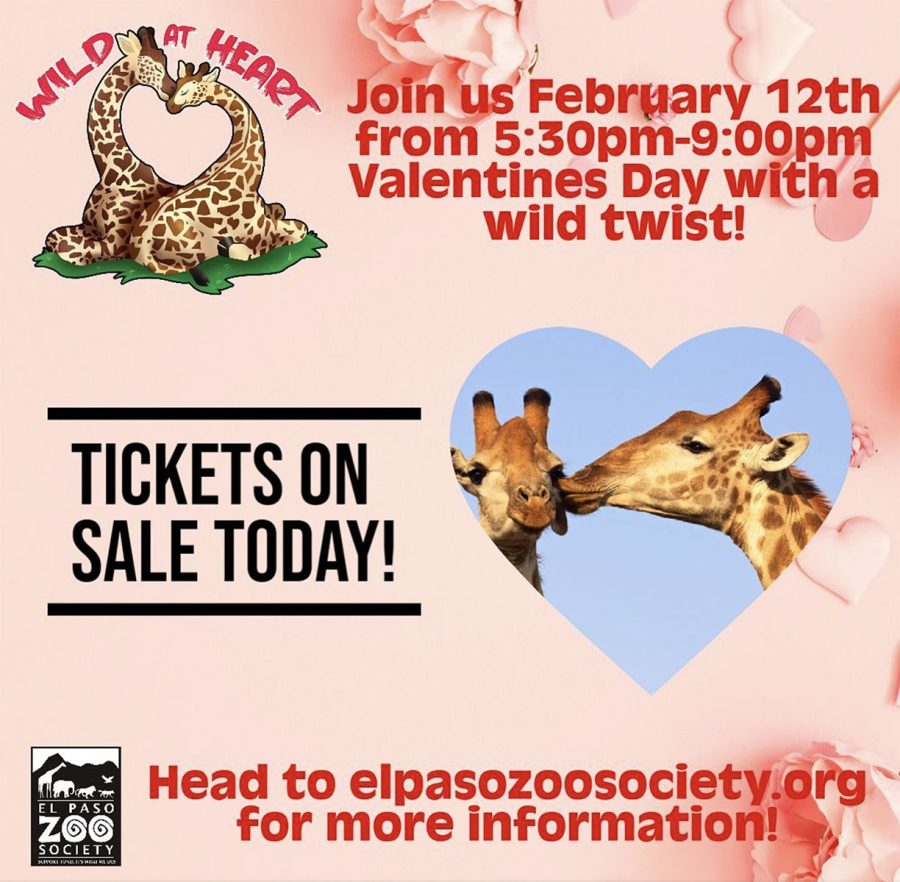 The+El+Paso+Zoo+is+celebrating+Valentine%E2%80%99s+Day+by+holding+an+evening+event+Feb.+12+from+5%3A30-9%3A00+p.m.+that+includes+dinner%2C+beer+from+DeadBeach+Brewery%2C+souvenirs+and+much+more.++%0APhoto+from+the+El+Paso+Zoo%E2%80%99s+Facebook+page.++
