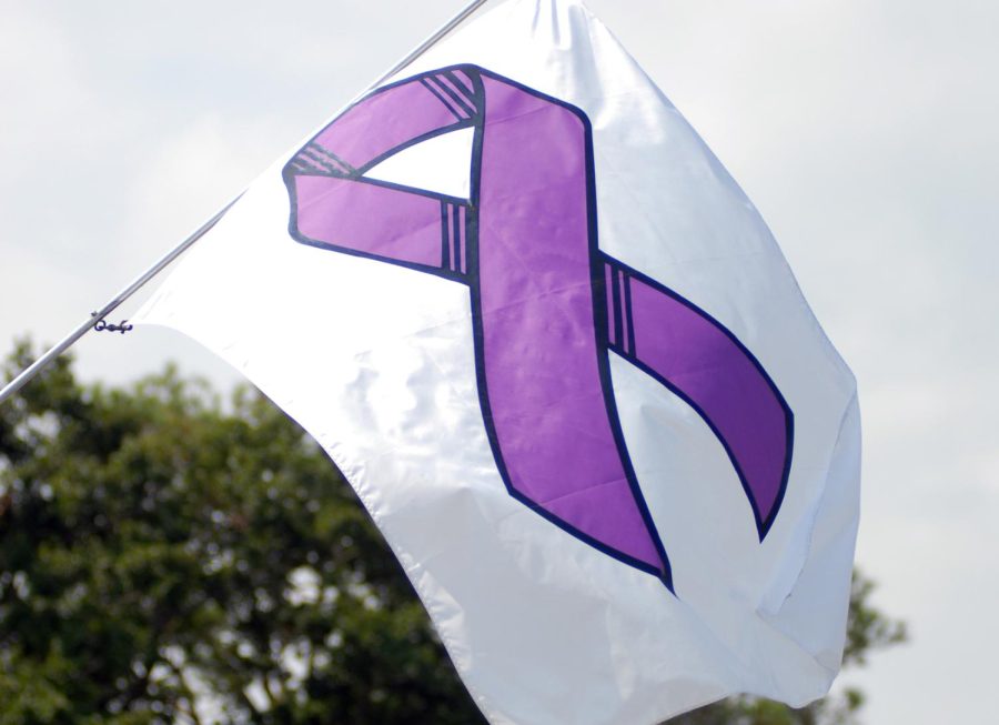 According to the Women’s Safety Organization, the purple ribbon is a “sign of hope for a better future” and when victims don’t fear being domestically abused. Photo courtesy of Wikipedia Commons. 