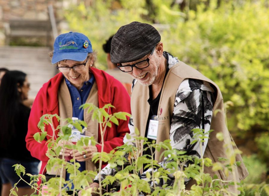 The Centennial Museum and Chihuahuan Desert Gardens hosted their Fall FloraFest, Oct. 1. 