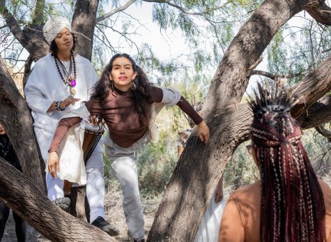 The Rubin Center for the Visual Arts and the Center for Enviornmental Resource Management (CERM) collaborated for “Experiencing the Bosque” at the Rio Bosque Wetlands Part Nov. 5. 