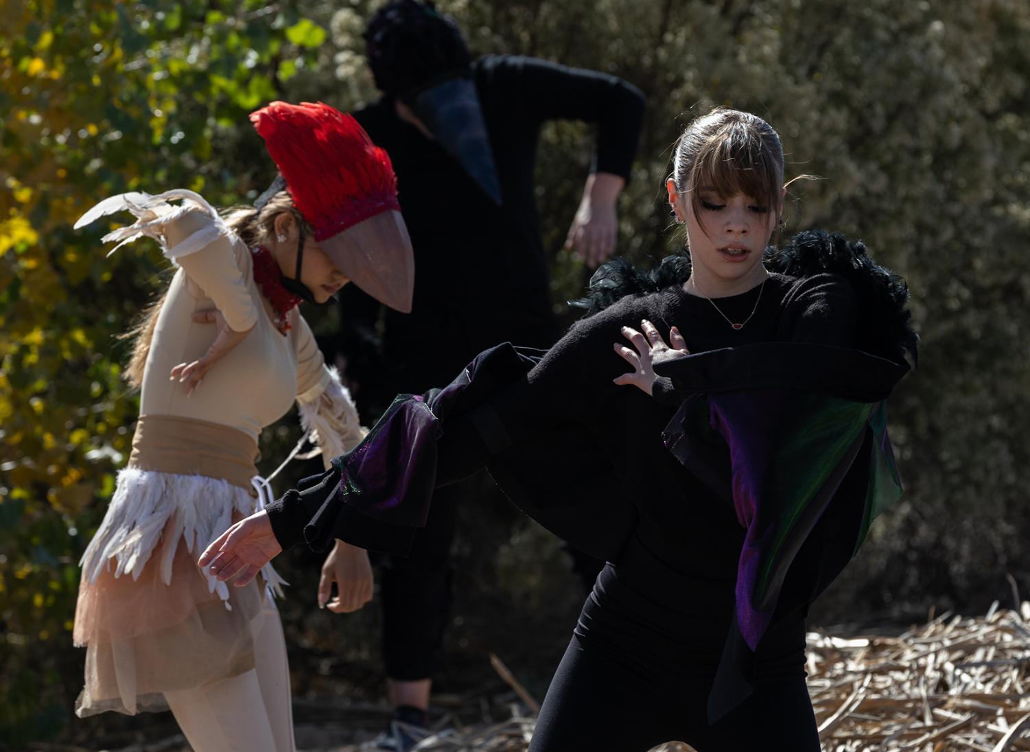 UTEP+dances+the+wetlands+at+%E2%80%98Experiencing+the+Bosque%E2%80%99