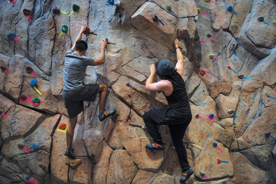 Originally built in 1996, the Recreation Center offers students a space for weightlifting, swimming, running, take fitness classes and rock climbing, among others.