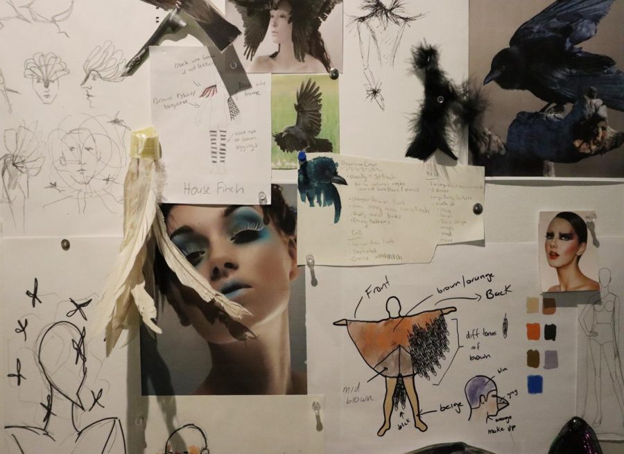Here, And the Wind documents the performance Experiencing the Bosque, a collaboration between the Rio Bosque Wetlands Park and the Center for Environmental Resource Management.