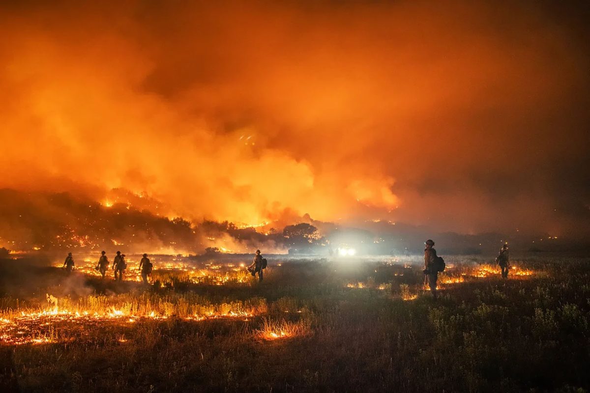 Maui has been devastated by wildfires which have killed at least 115 people and leaving over 1,100 others missing.  