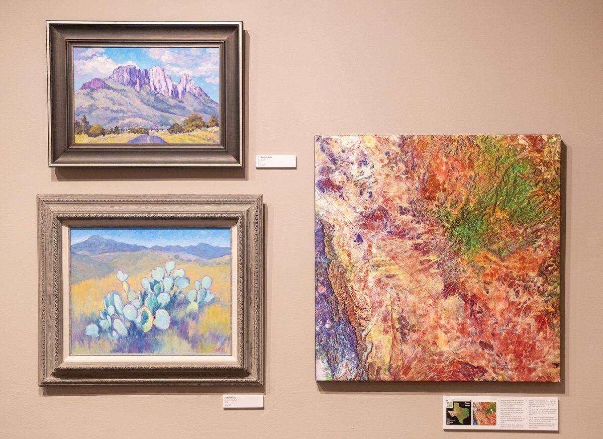 Collection of art by Liz Culp, on display at the Texas as Art exhibit. 