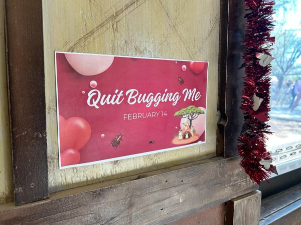 The El Paso Zoo and the Botanical Gardens hosted the fifth Quit Bugging Me” event, this year on Valentine’s Day. 