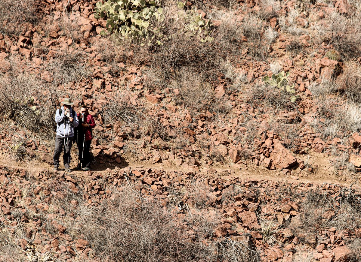 Hikers+admire+the+view+from+Mammoth%E2%80%99s+Trunk+Trail.+