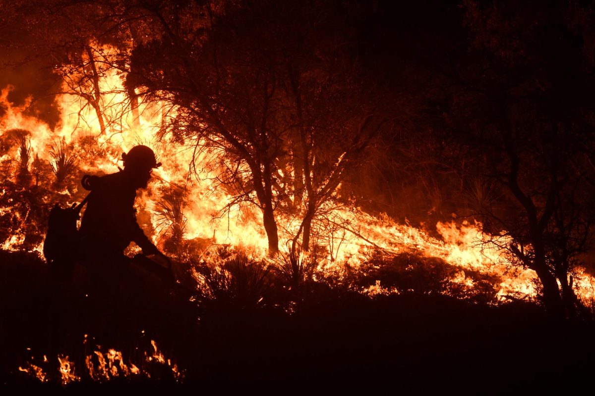 In 2022, San Antonio experienced a similar deadly wildfire. Wildfires are a common threat in Texas, causing devastation of homes, cattle, land, and more. Photo courtesy of Flickr.