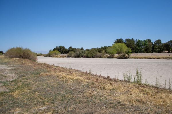The Rio Grande runs dry near El Paso, Texas as drought conditions persist across the region.