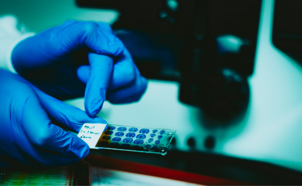 The University of Texas at El Paso (UTEP) biomedical sciences student Angela Cole, will be graduating this fall. As graduation approaches, she reflects on how her participation in Bruce Cushing Ph.D.’s research laboratory is helping her reach success in both science and in helping others.