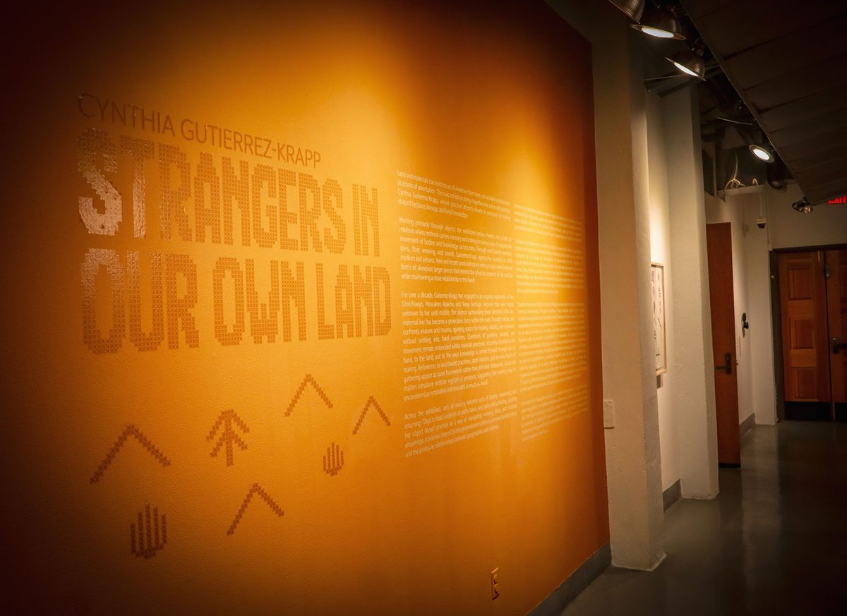 “Strangers in Our Own Land” a new exhibition by artist Cynthia Gutierrez-Krapp at the Stanlee and Gerald Rubin Center for the Visual Arts, El Paso, Texas.