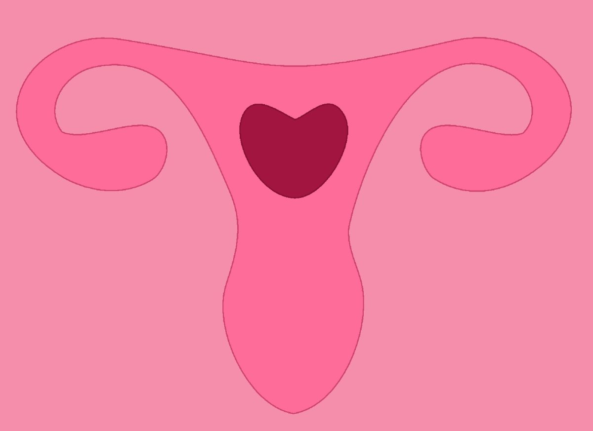 What about women’s health? The truths of gyneclogical everyone should know